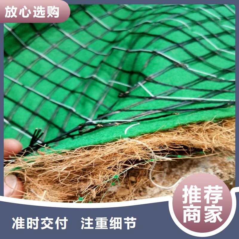 加筋抗冲生物毯-椰纤植生毯出厂价格