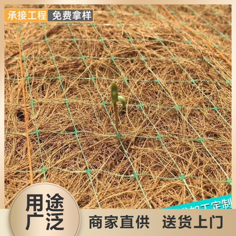 植生椰丝毯植物纤维毯源头厂家