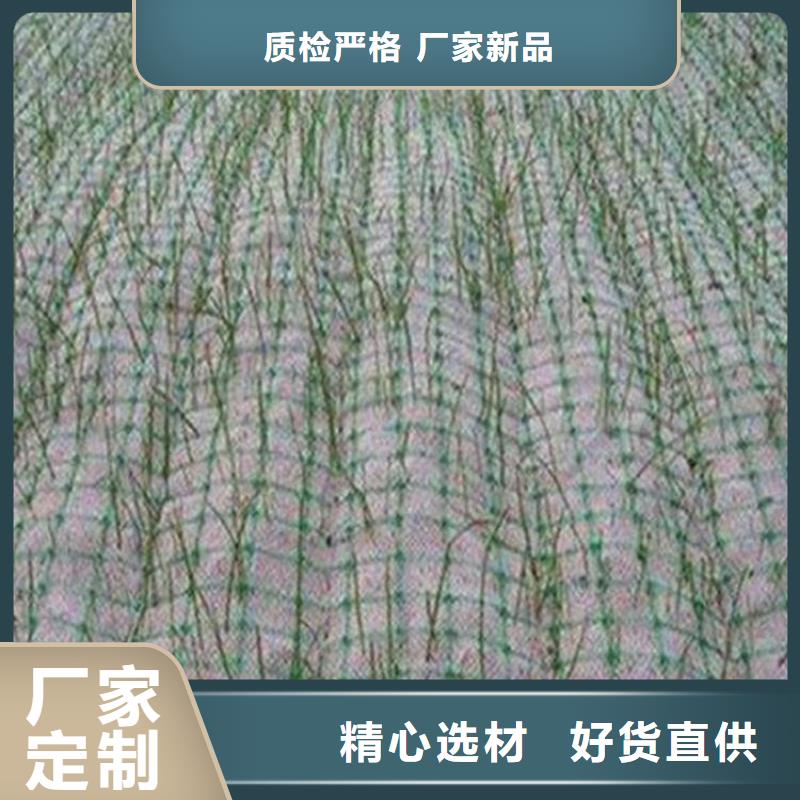 加筋抗冲生态毯上门服务