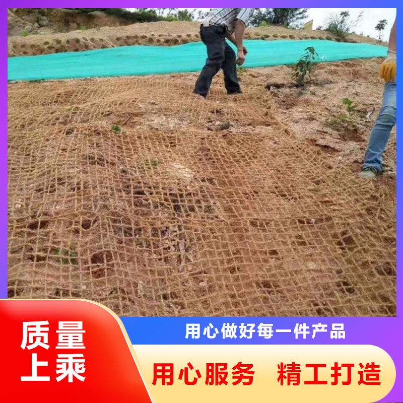 椰纤植生毯加筋抗冲生态毯公司资讯