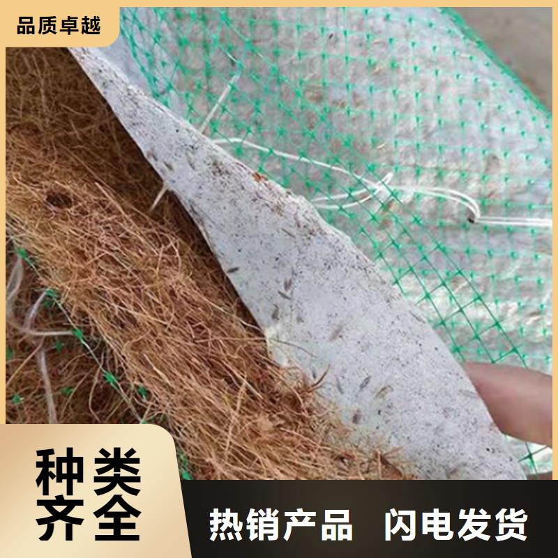 椰丝植生毯-椰丝纤维毯-椰丝护坡毯