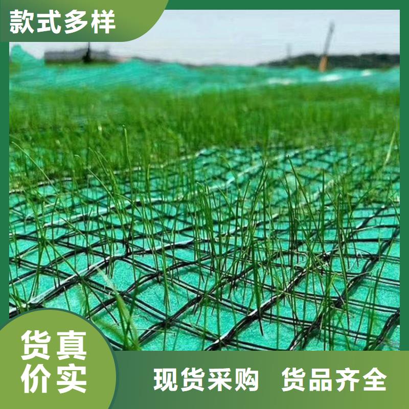 椰丝植物纤维毯-护坡抗冲植草毯-绿化草毯