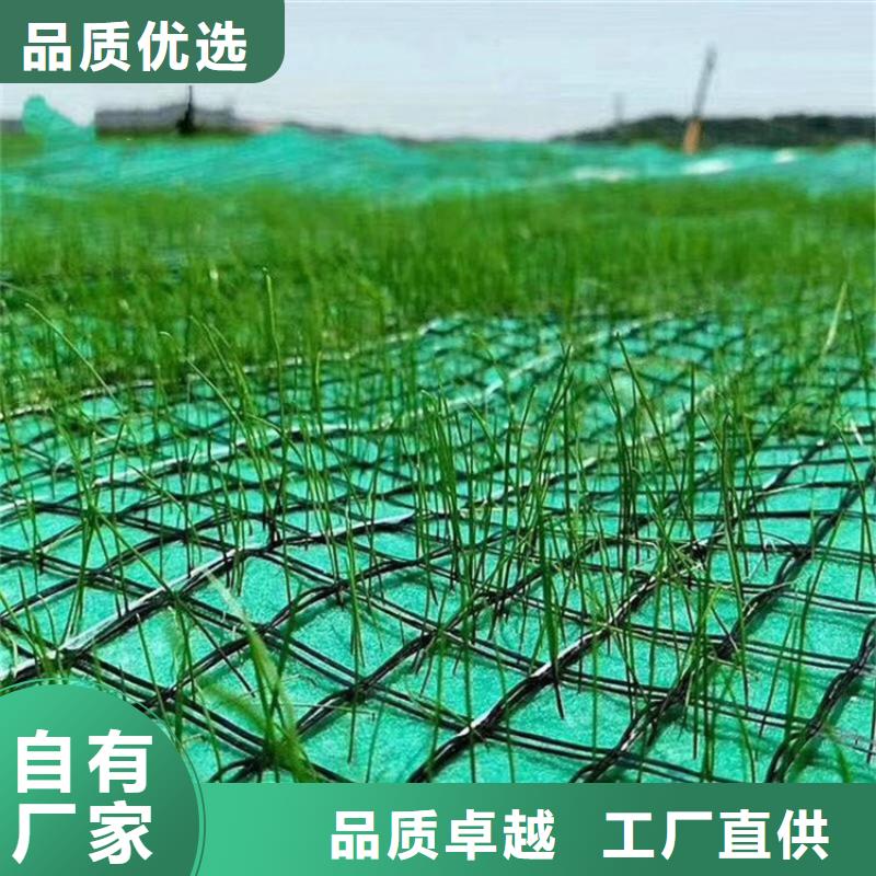 生态环保草毯-加筋抗冲生态毯规格结构