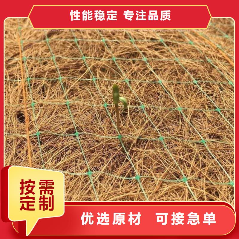 厂家直营(鼎诺)植生椰丝毯-生物草毯生态垫
