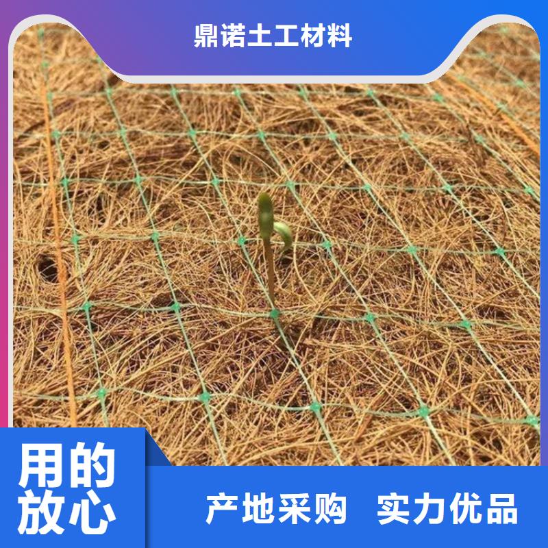 椰丝植物纤维毯-护坡抗冲植草毯-绿化草毯