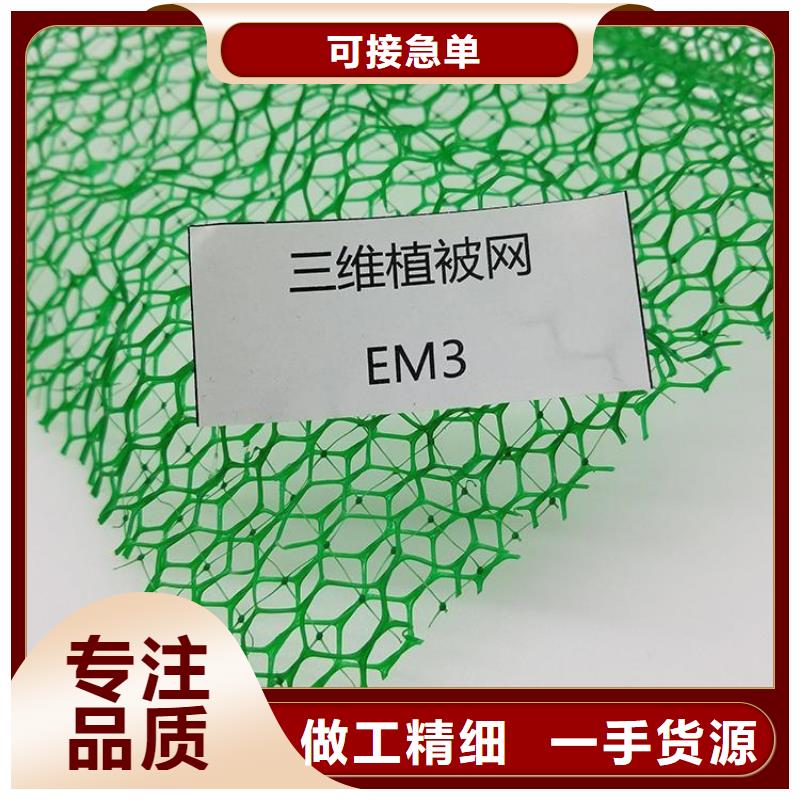 EM4三维固土网垫-EM4三维土工网垫