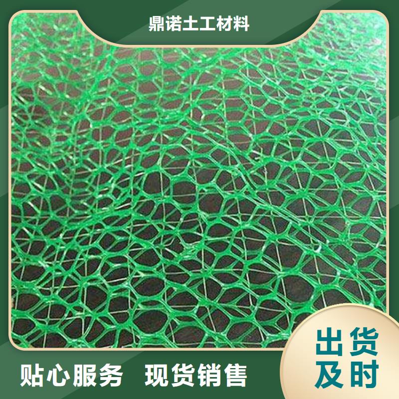 三维加筋网垫-三维网植草护坡