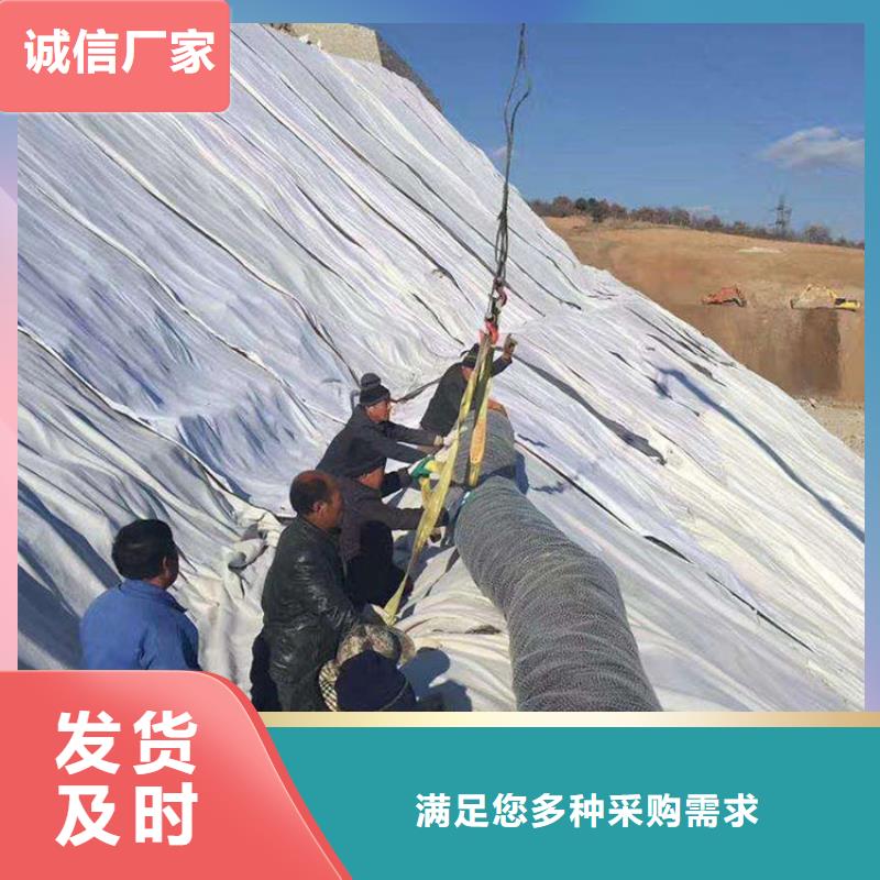 膨润土防水毯土工格室源头厂家量大价优