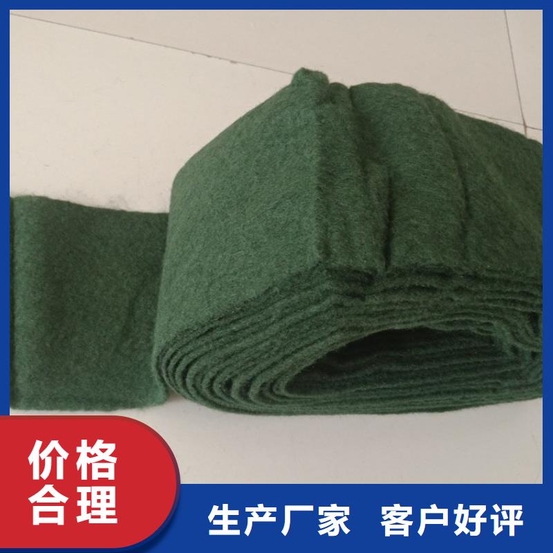 【裹树布】软式透水管一站式服务