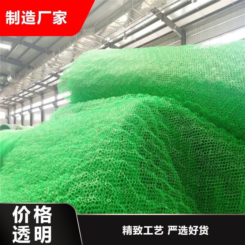 三维植被网塑料格栅品种全