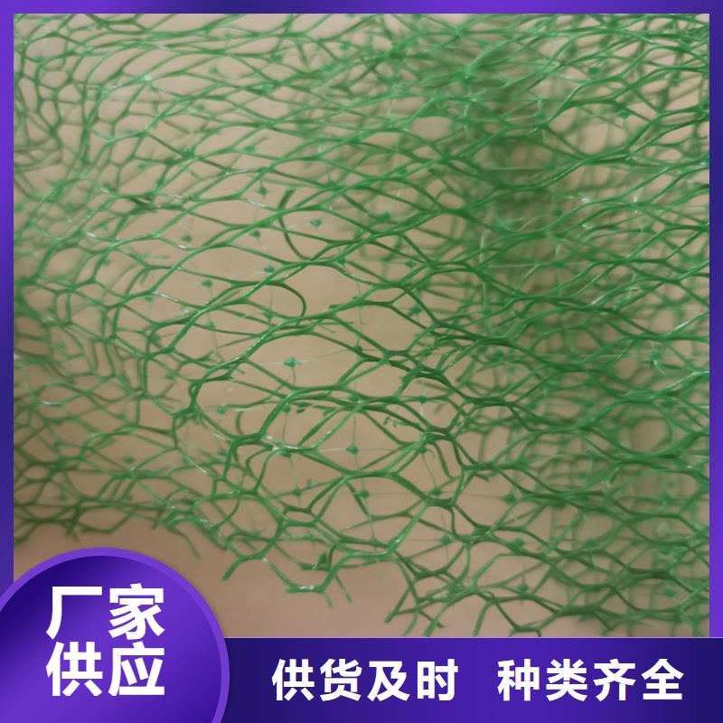 三维植被网-三维植被网垫