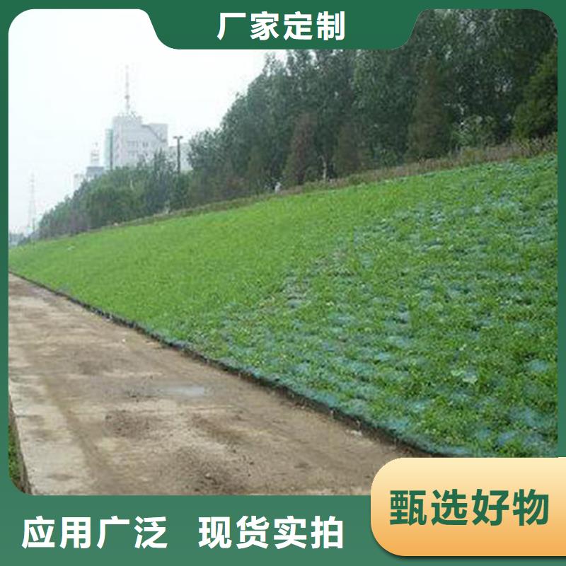 绿化EM5三维加筋土工网垫