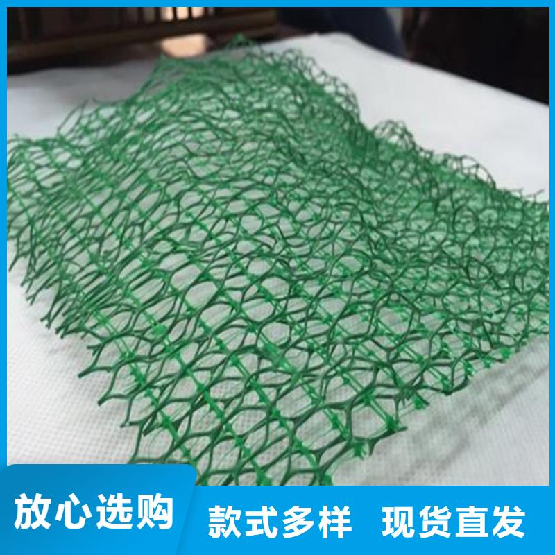 三维土工网垫-绿色三维土工网垫批发代理