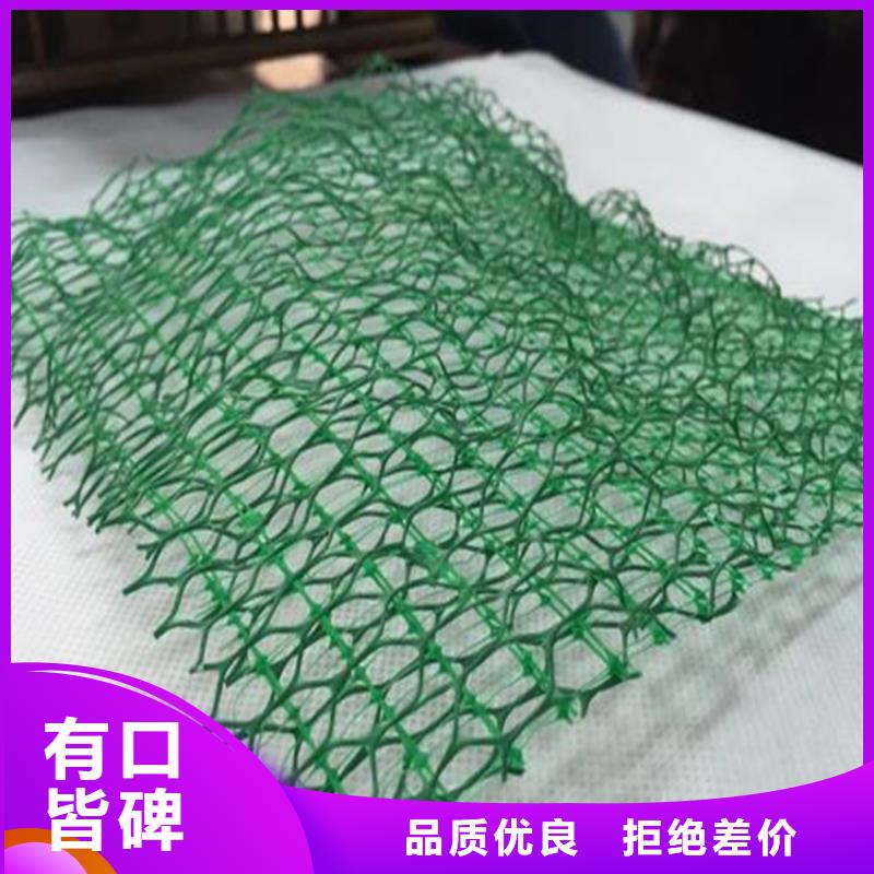 EM5塑料三维护坡加筋网垫