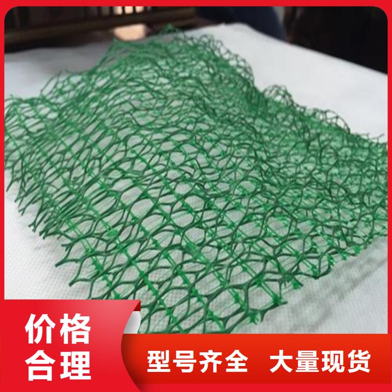 绿化EM5三维加筋土工网垫