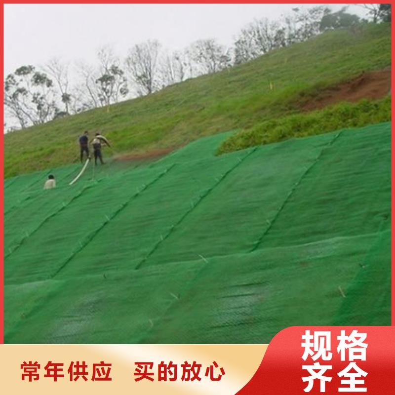 三维护坡植被网垫#塑料固土