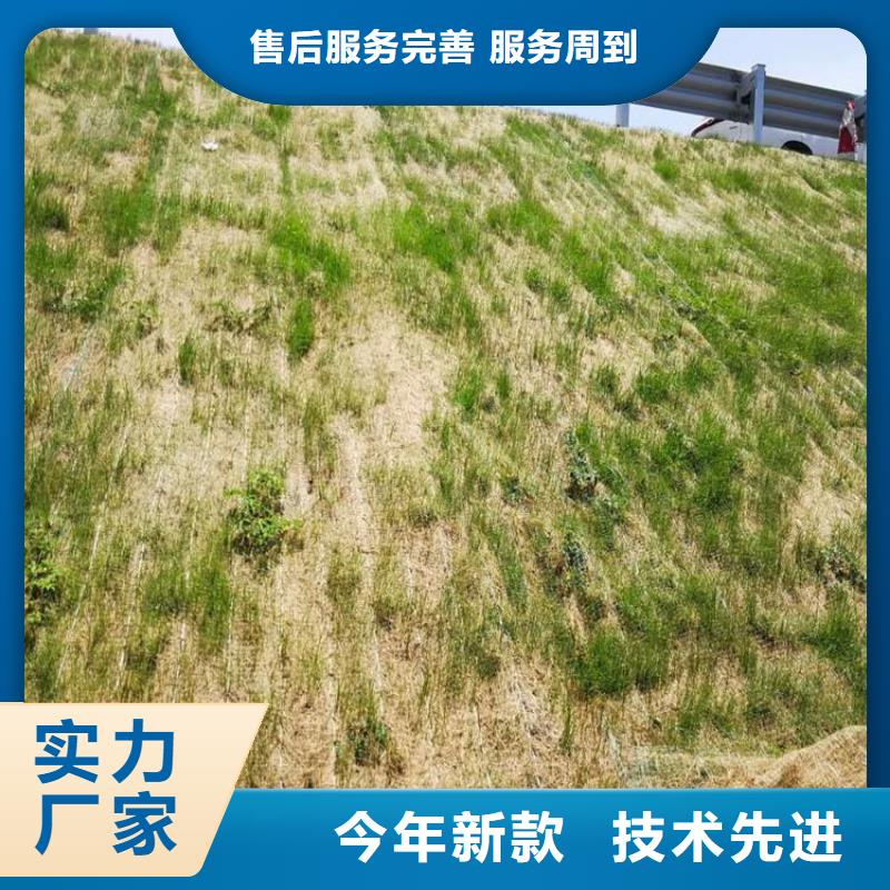 植生椰丝毯产品新闻已更新