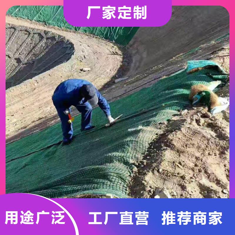 加筋抗冲生物毯批发价