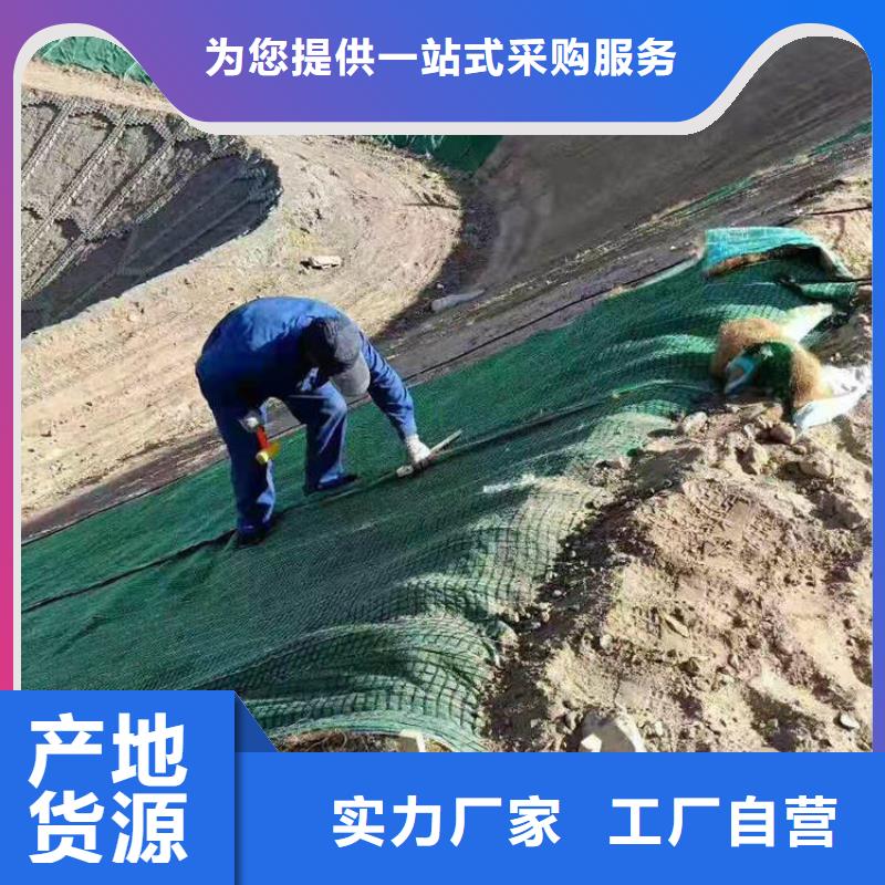 加筋抗冲生态毯-生态环保草毯有限公司/多少钱一平