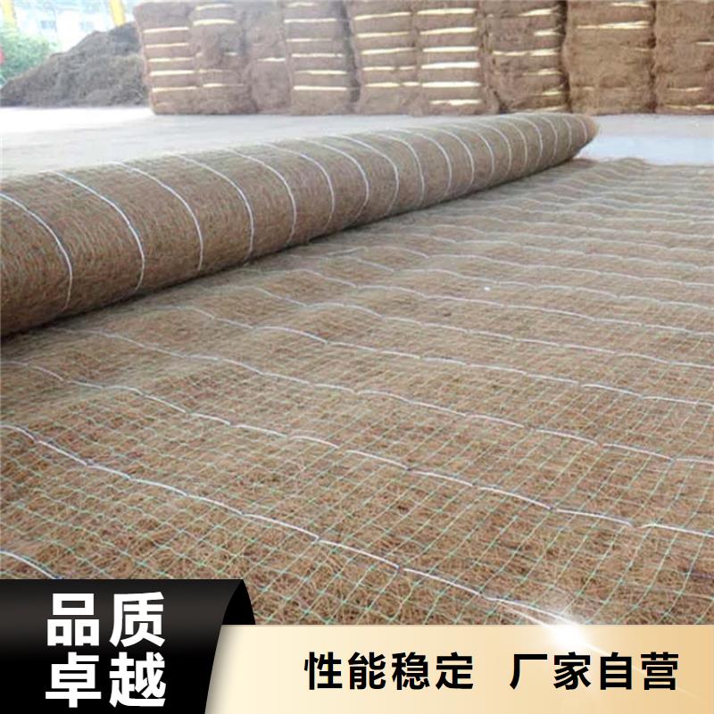植生椰丝毯-加筋抗冲生态毯-椰棕植生毯