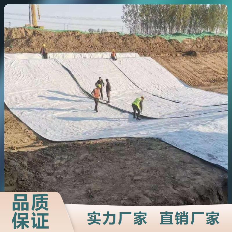 膨润土防水毯土工格栅专业生产品质保证