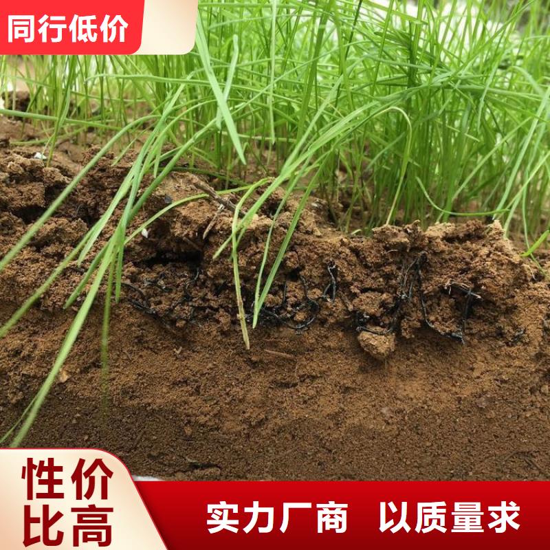 水土保护毯-【土工膜】精心打造