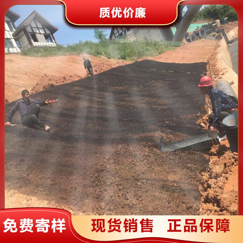 水土保护毯-【玻纤格栅】产地厂家直销