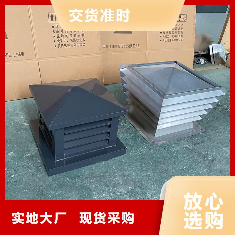延边州C系列防倒灌风帽图片