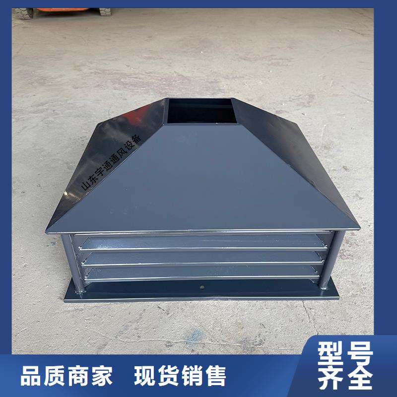 铜仁止回式风帽源头厂家