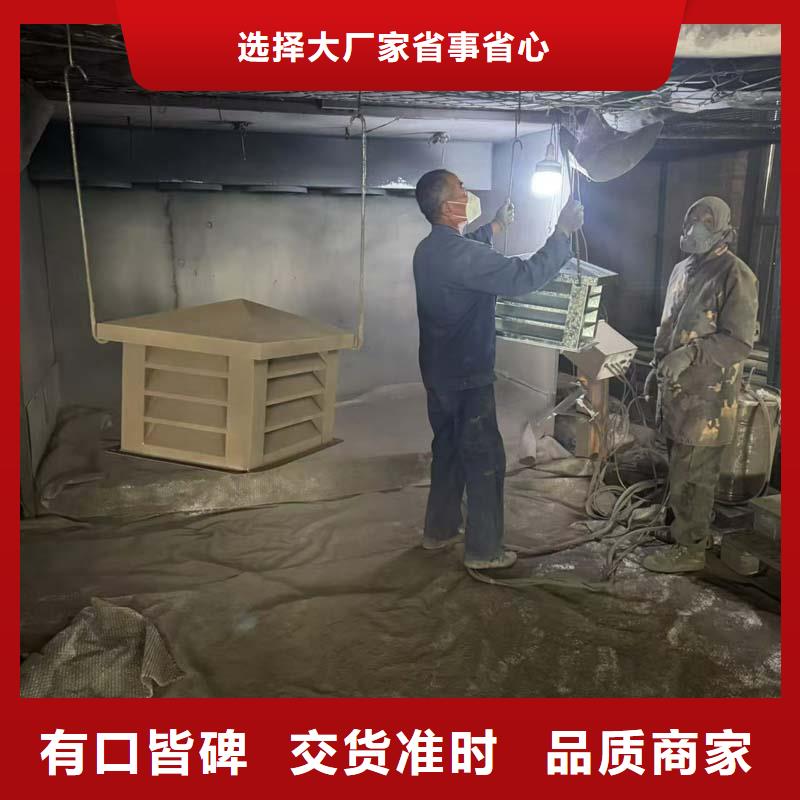 B系列抜气风帽货源
