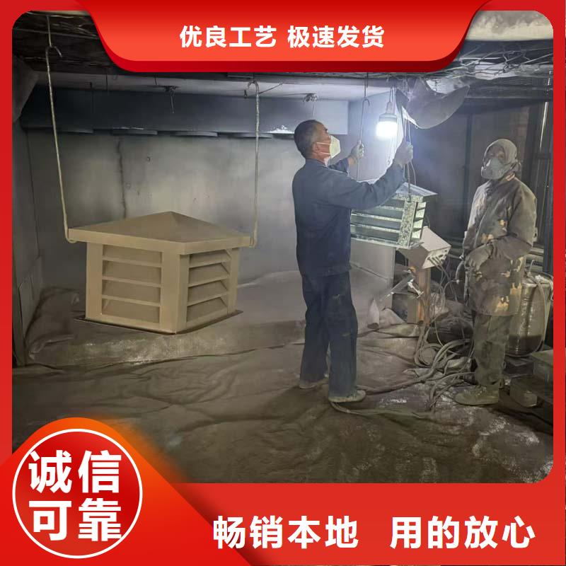 止回式风帽专业厂家