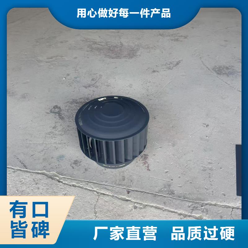 D系列四孔风帽本地厂家