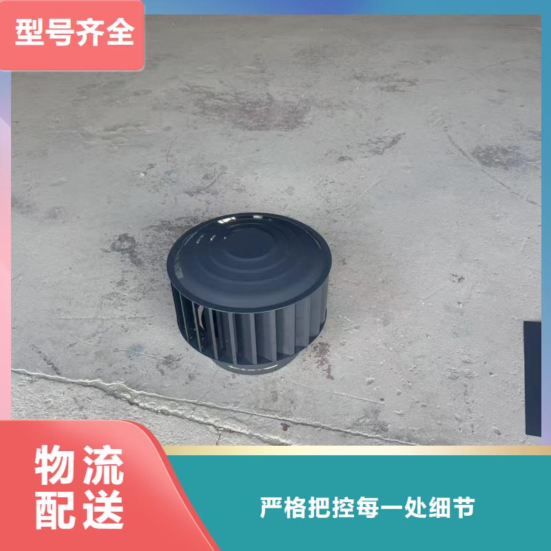 自力式风帽质优价廉