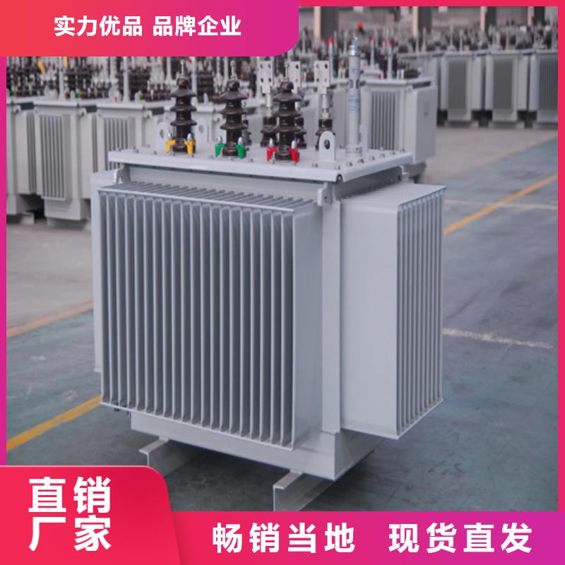 S20-m-100/10油浸式变压器实体厂家