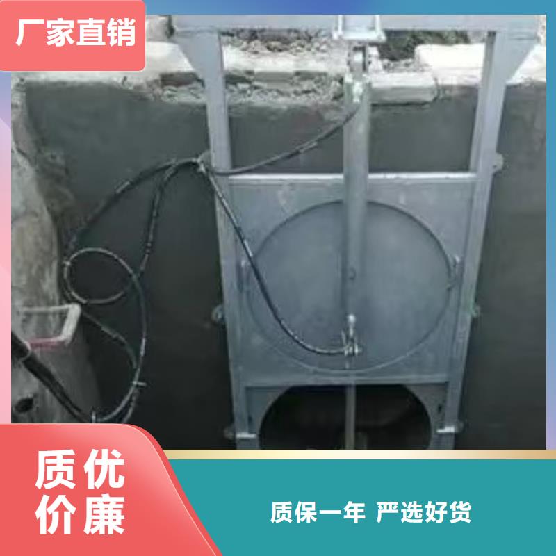 【瑞鑫】专业厂家直销一体铸铁闸门灌区自控闸门