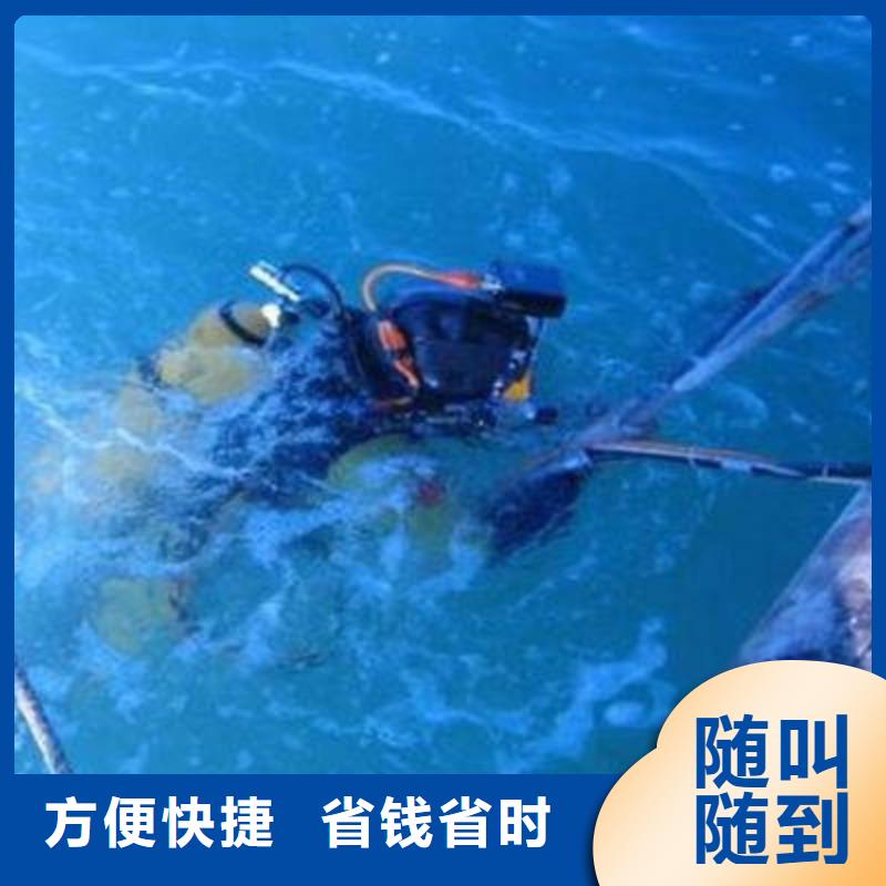 重庆市九龙坡区






水下打捞尸体电话