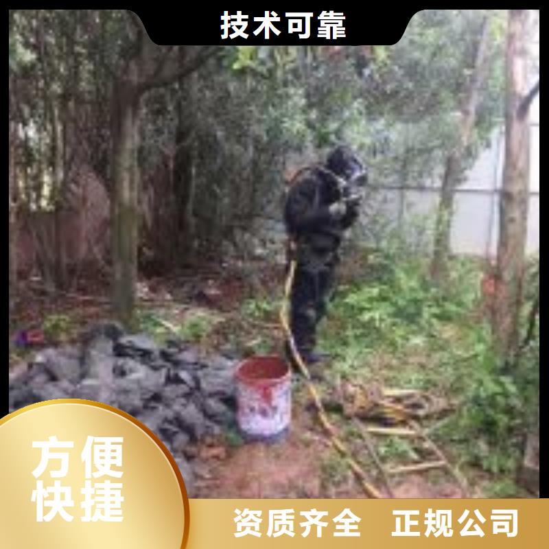 潜水服务公司 本地潜水救援多年经验