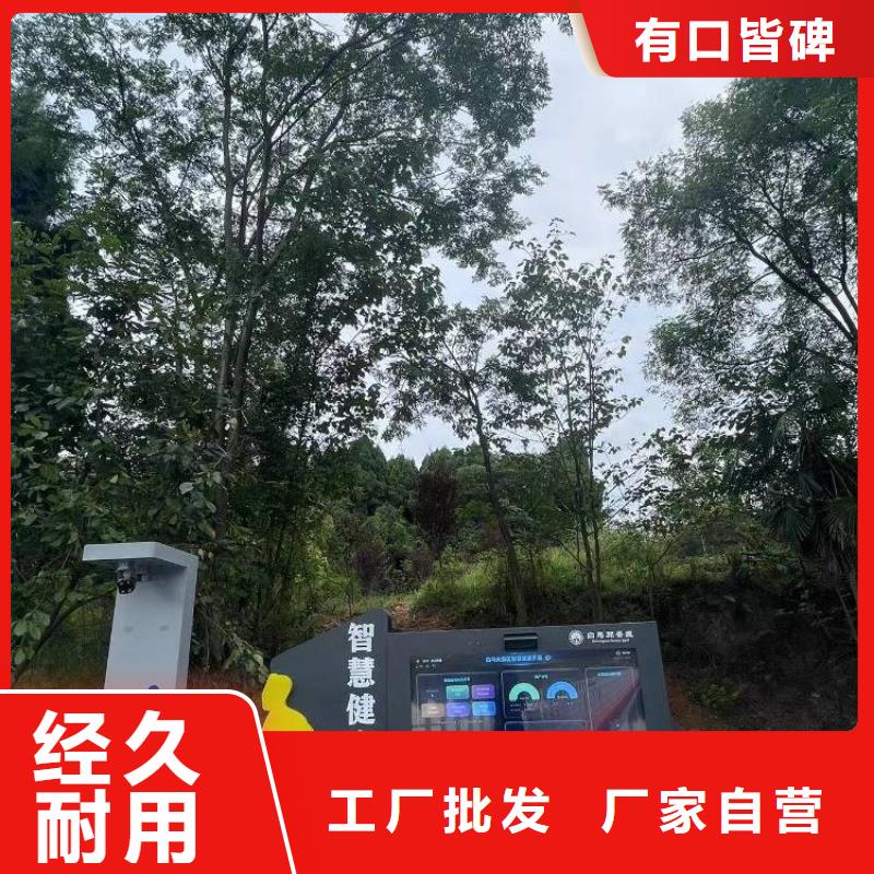 光影陪跑厂家（维艾狄尔）