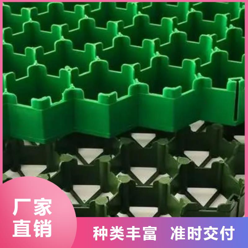 植草格水泥化粪池发货及时