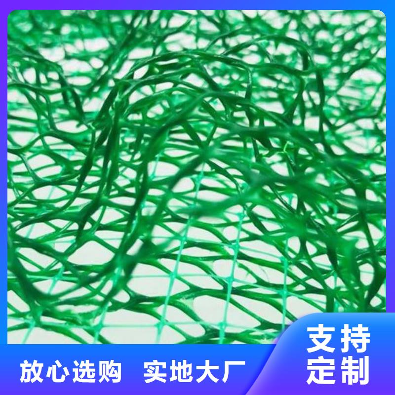 【三维植被网】水泥化粪池标准工艺