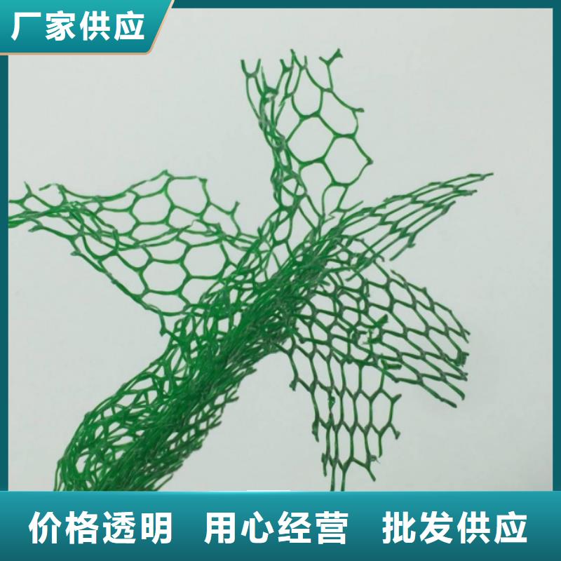 三维植被网【水泥化粪池】优选厂家