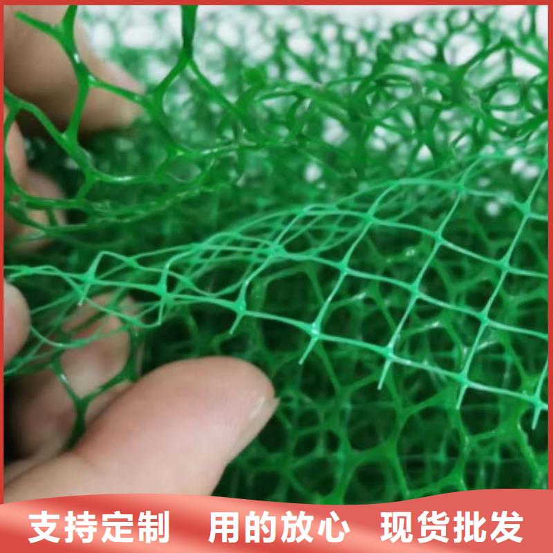 三维植被网_【植草格】专业品质