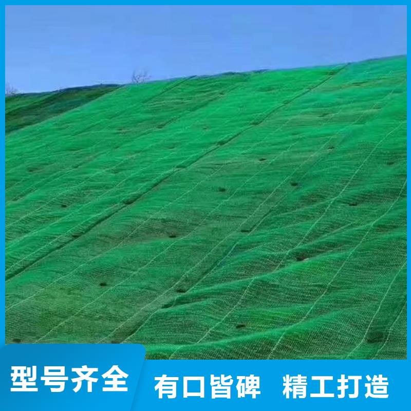 三维植被网水泥化粪池优质工艺