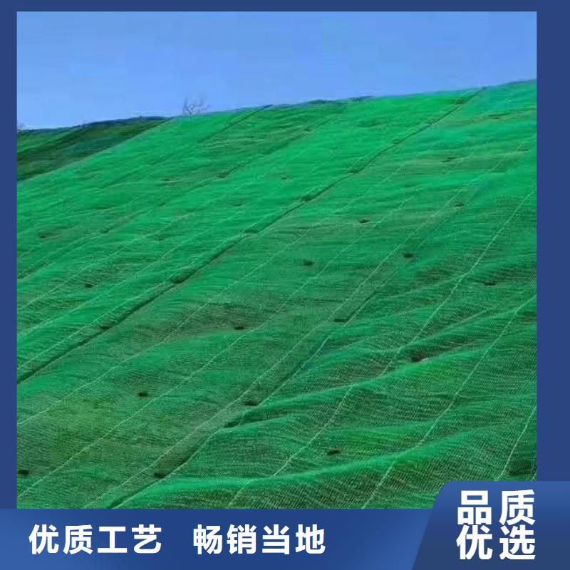 三维植被网植草格一站式采购商