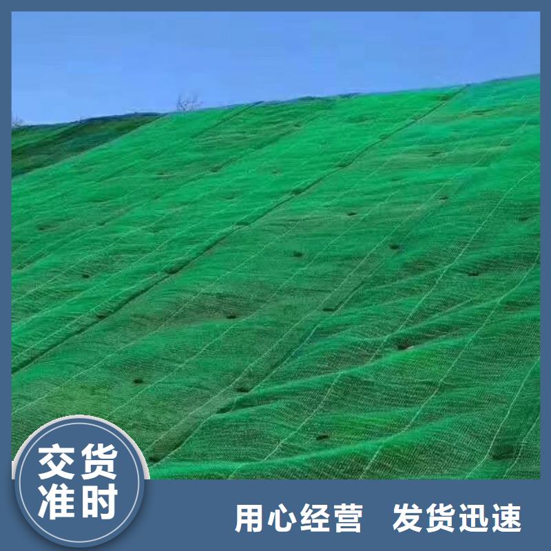 【三维植被网车库虹吸排水系统按需设计】