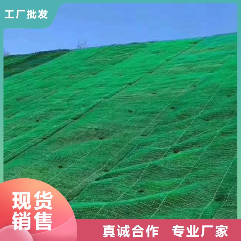 三维土工网垫2025行情价