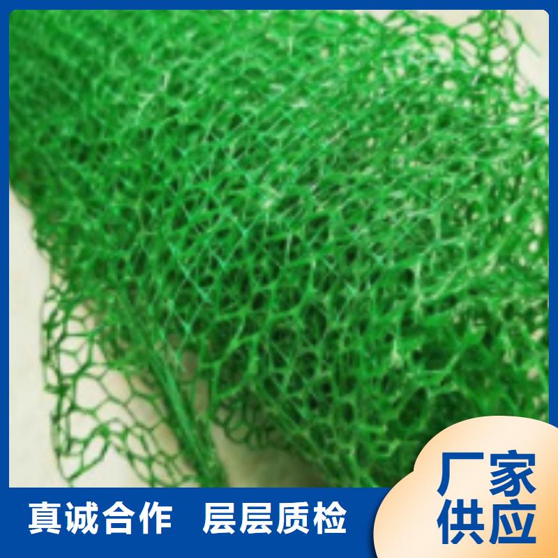 三维土工网垫边坡复绿