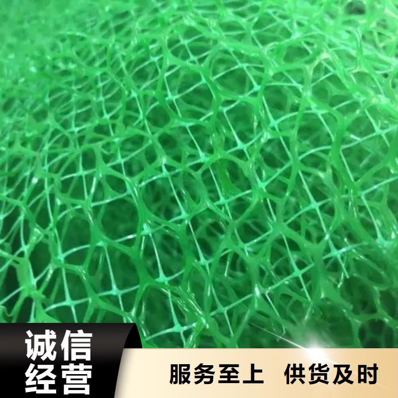 三维植被网【水泥化粪池】加工定制