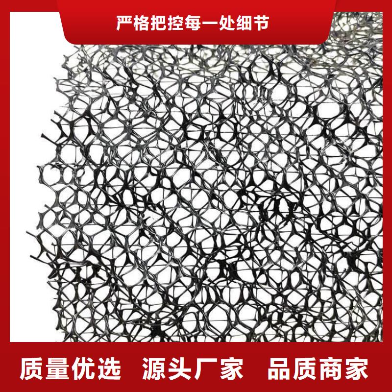 三维植被网防护虹吸排水收集系统做工精细