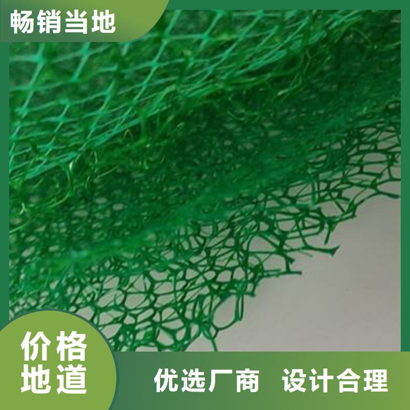 三维植被网排水板多种工艺